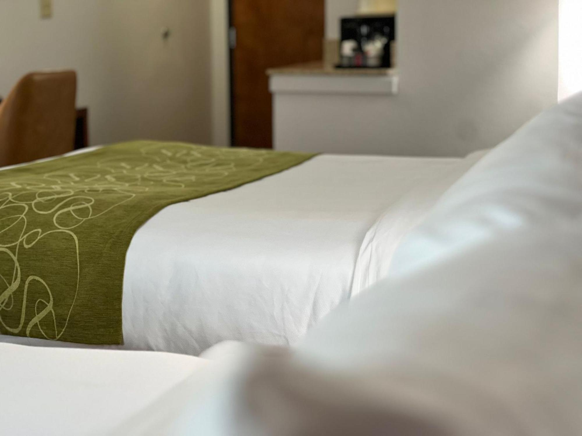 Hotel Comfort East 3*