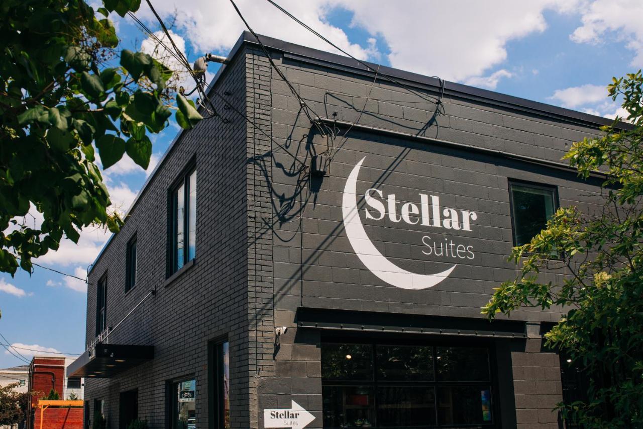 Stellar Louisville