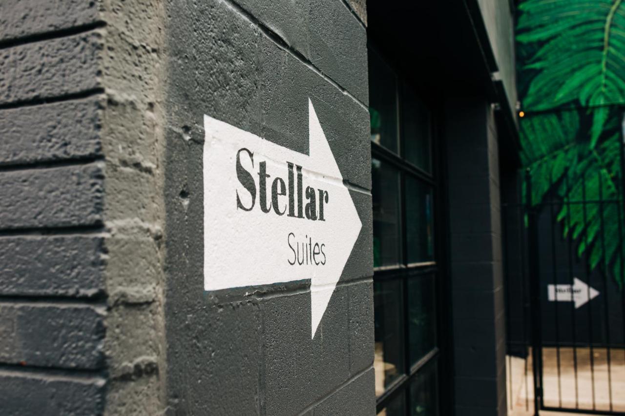 Stellar Louisville