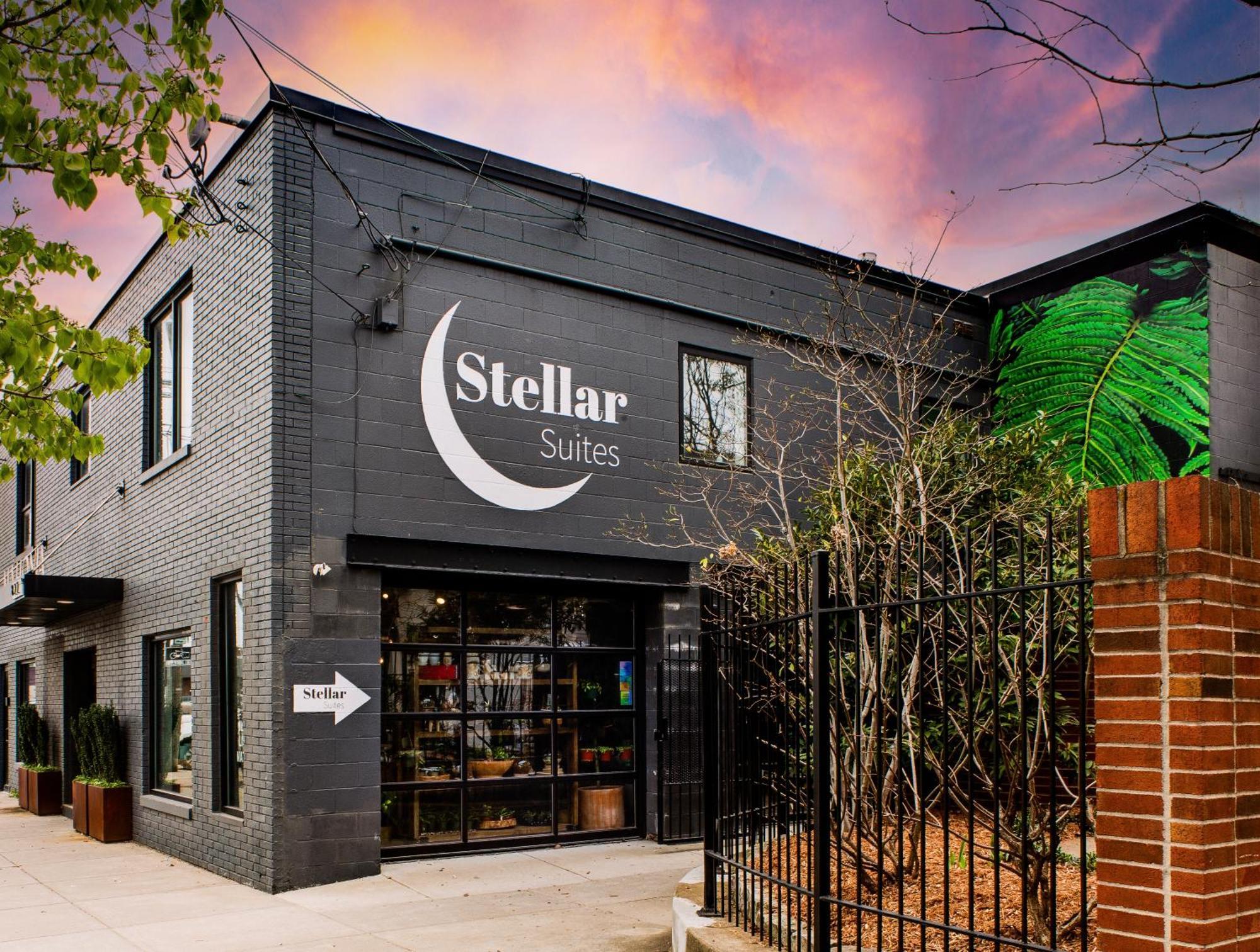 Stellar Louisville